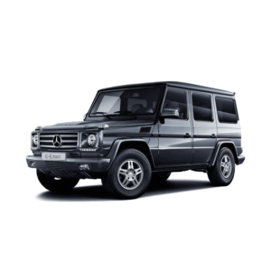 Выкуп неликвидных запчастей Mercedes Mercedes G-klasse