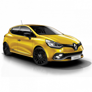 Выкуп остатков запчастей Renault Renault Clio RS